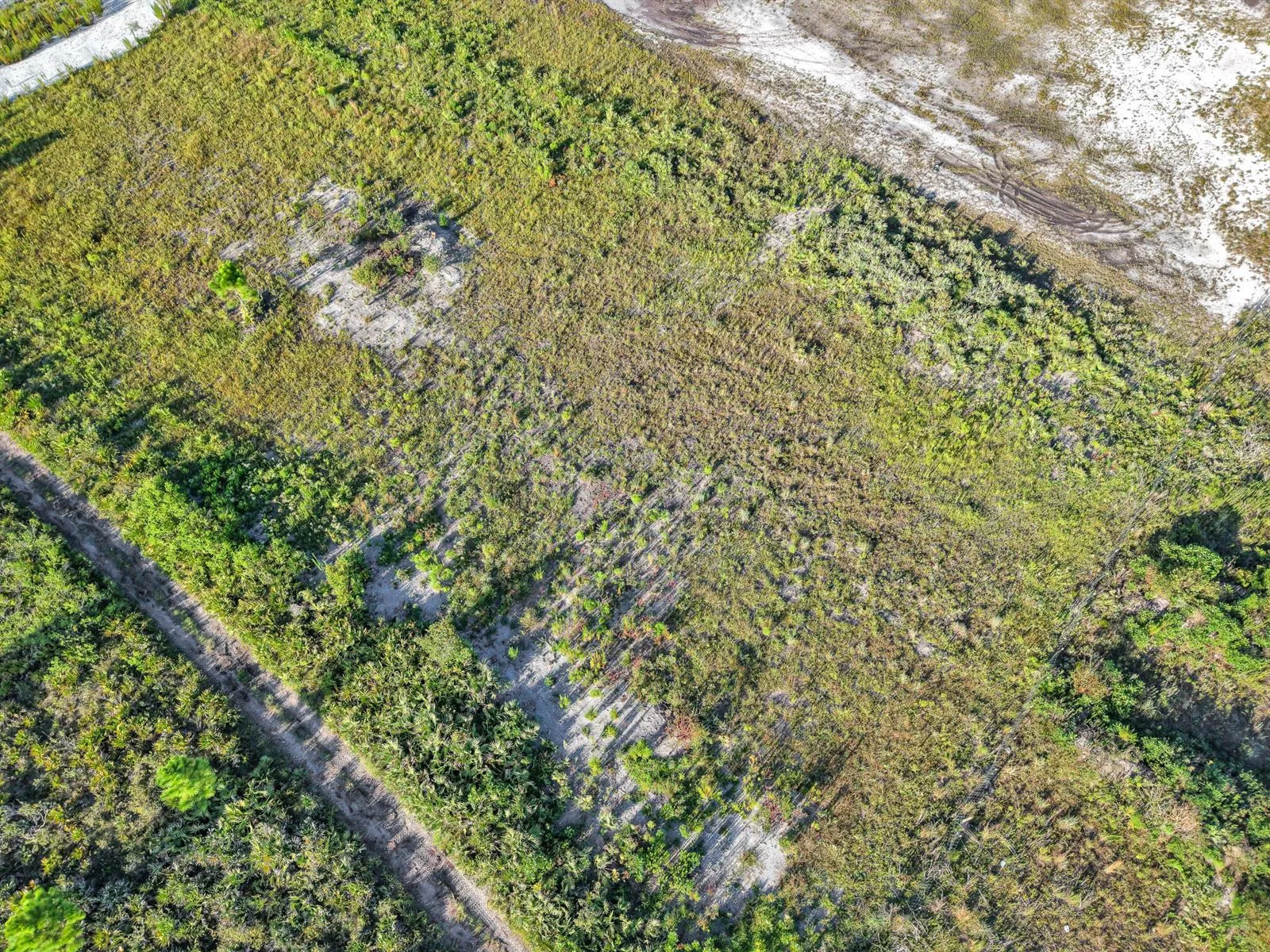 22184 NW 278th Street, Okeechobee, FL 34972 photo 7