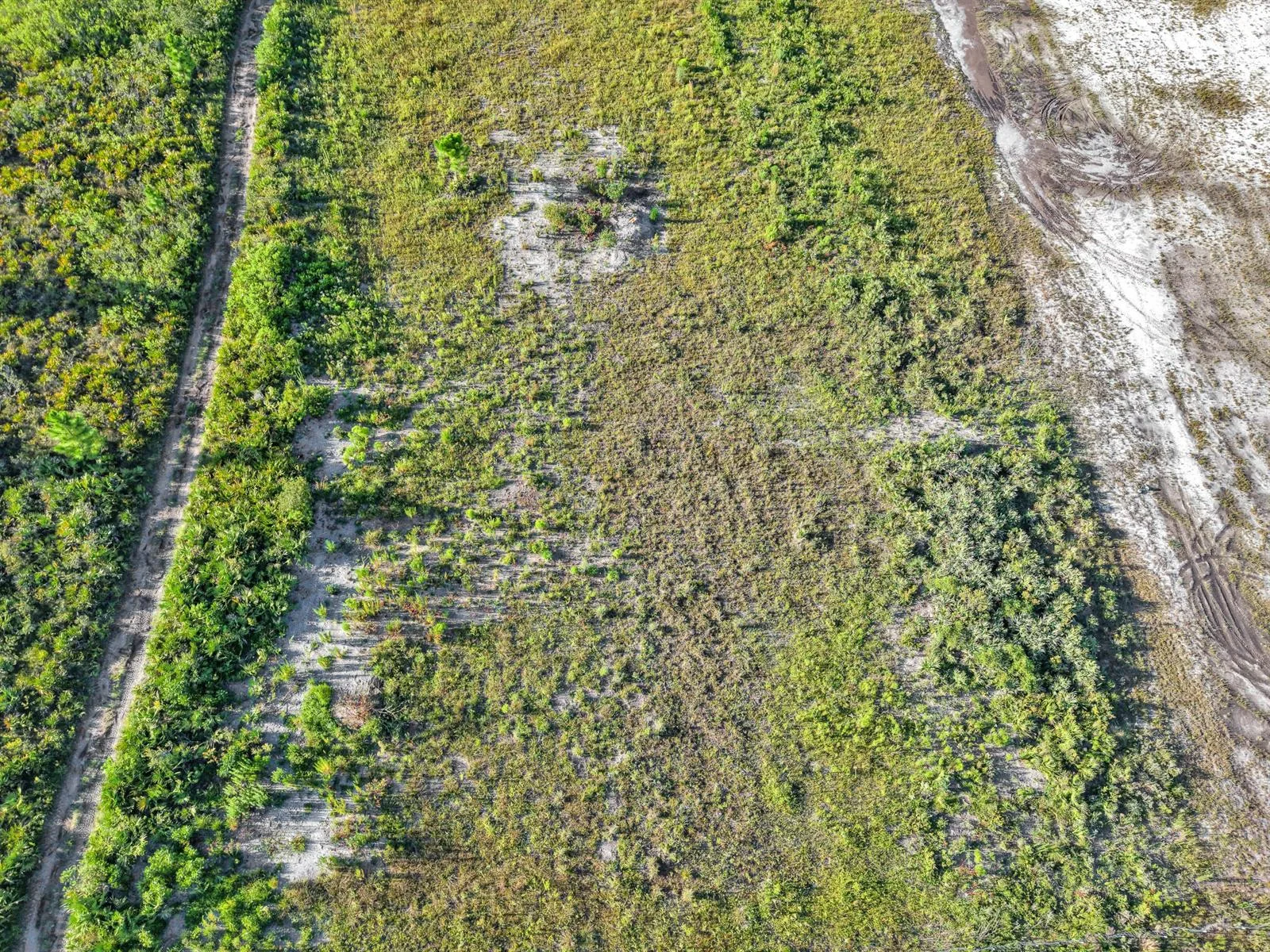 22184 NW 278th Street, Okeechobee, FL 34972 photo 9