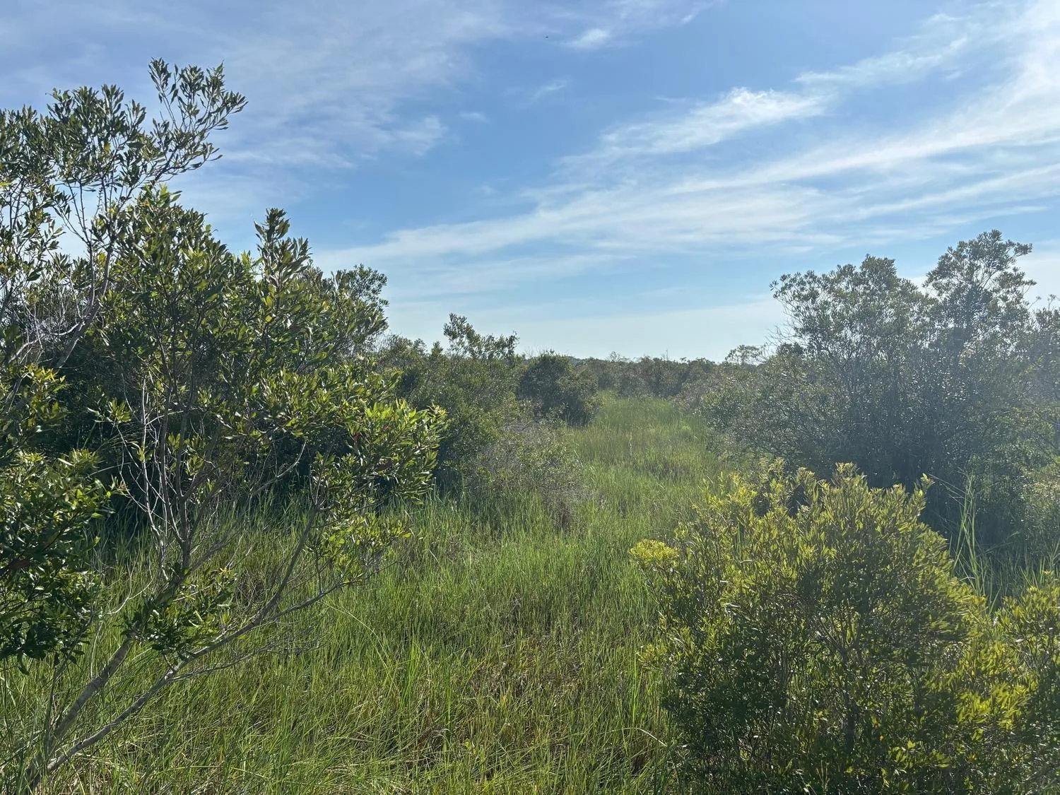 0 NW 308th Street, Okeechobee, FL 34972