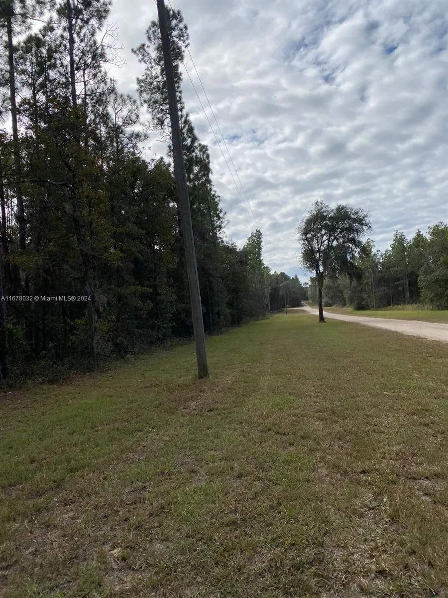 831 SE 116TH TERRACE, Williston FL 32696 photo 2