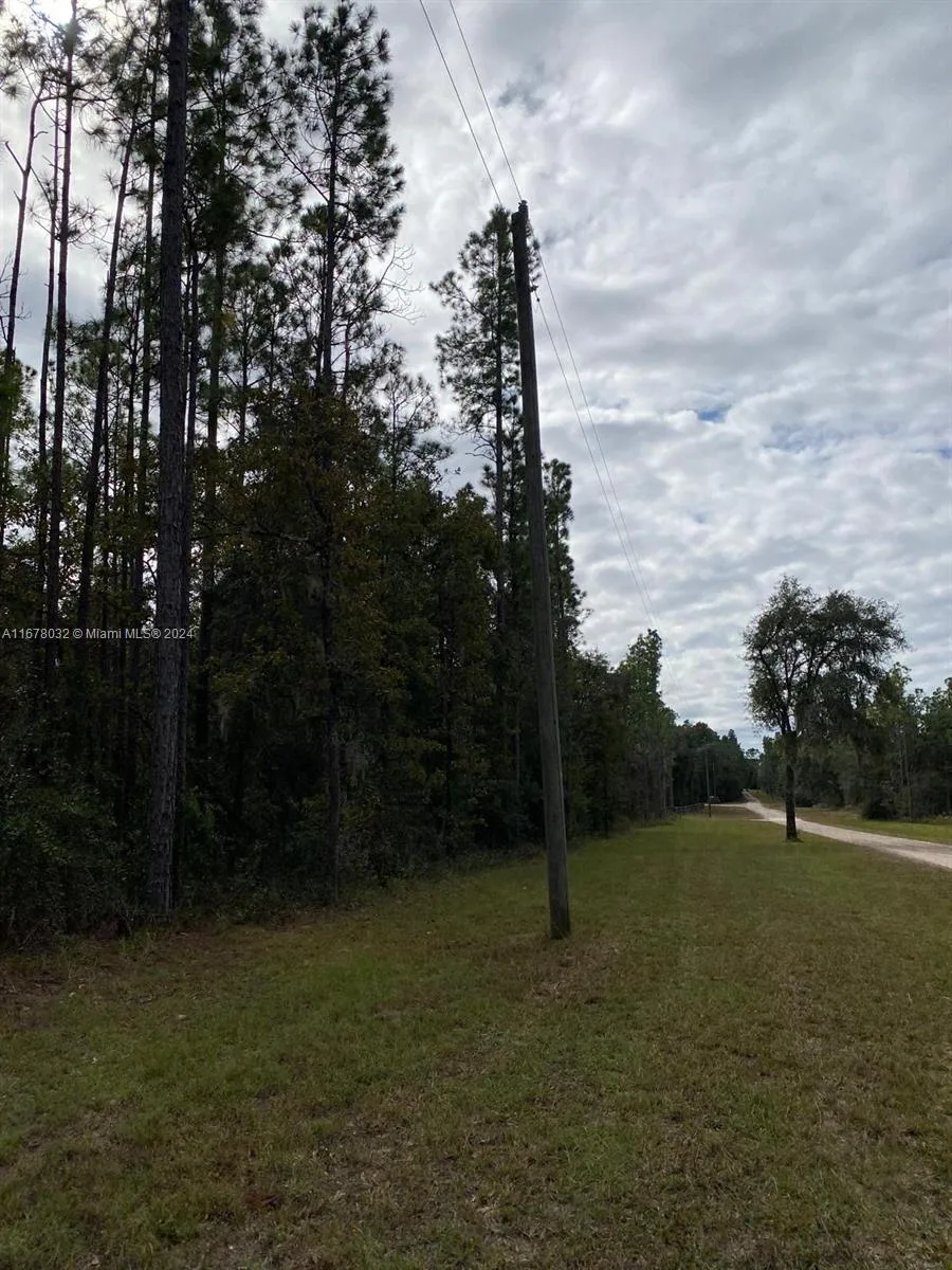 831 SE 116TH TERRACE, Williston FL 32696 photo 4