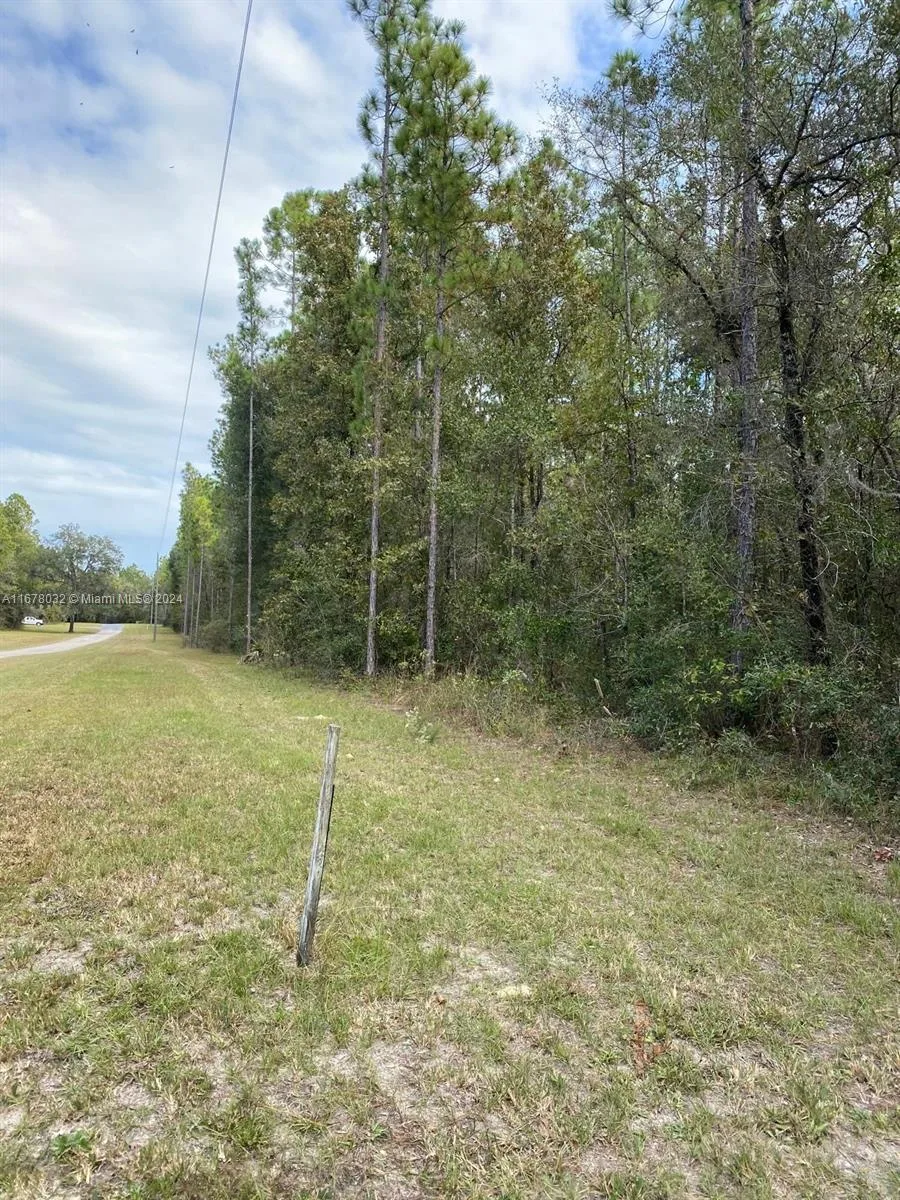 831 SE 116TH TERRACE, Williston FL 32696 photo 5