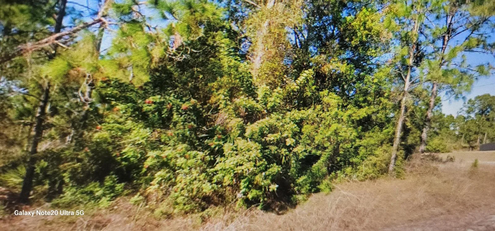 1023 Acacia Avenue, Lehigh Acres, FL 33972