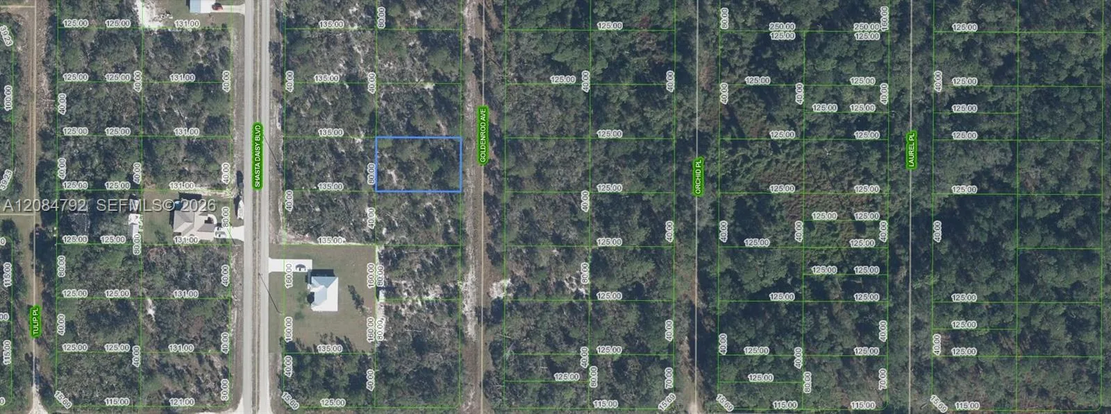 7019 Goldenrod Avenue, Sebring, FL 33875