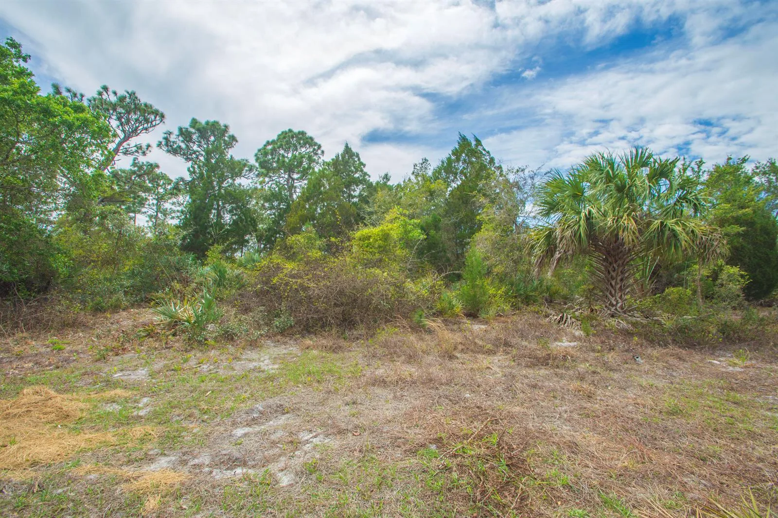 8065 126th Street, Sebastian, FL 32958 photo 6