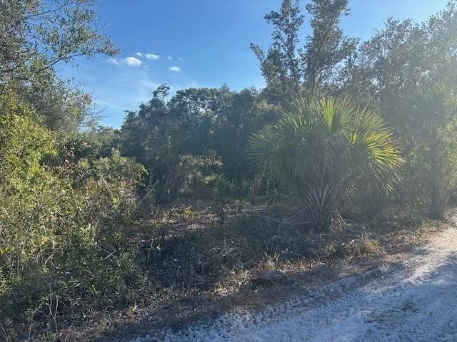 0 NW 296th, Okeechobee, FL 34972