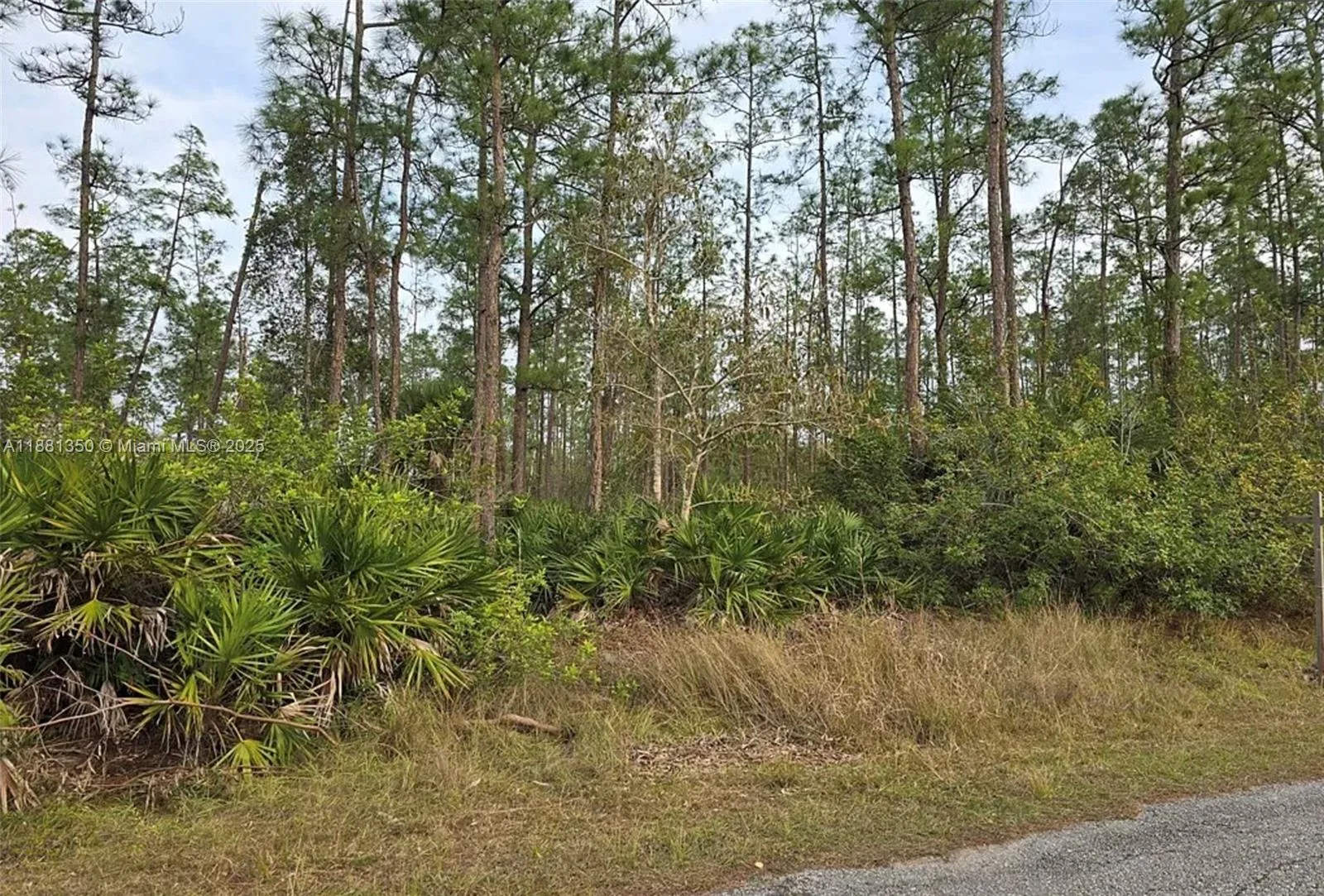 1314 Cleveland Ave, Lehigh Acres, FL 33972 photo 2