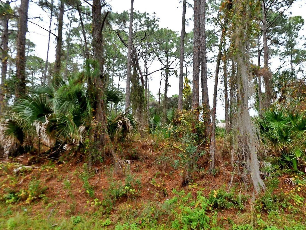 Tbd Giblin Drive, North Port, FL 34286