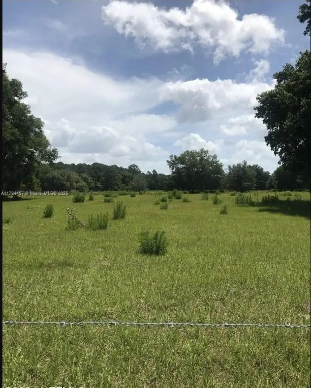 278 HUNTINGTON SHORTCUT RD, Cresent City, FL 32112 photo 4