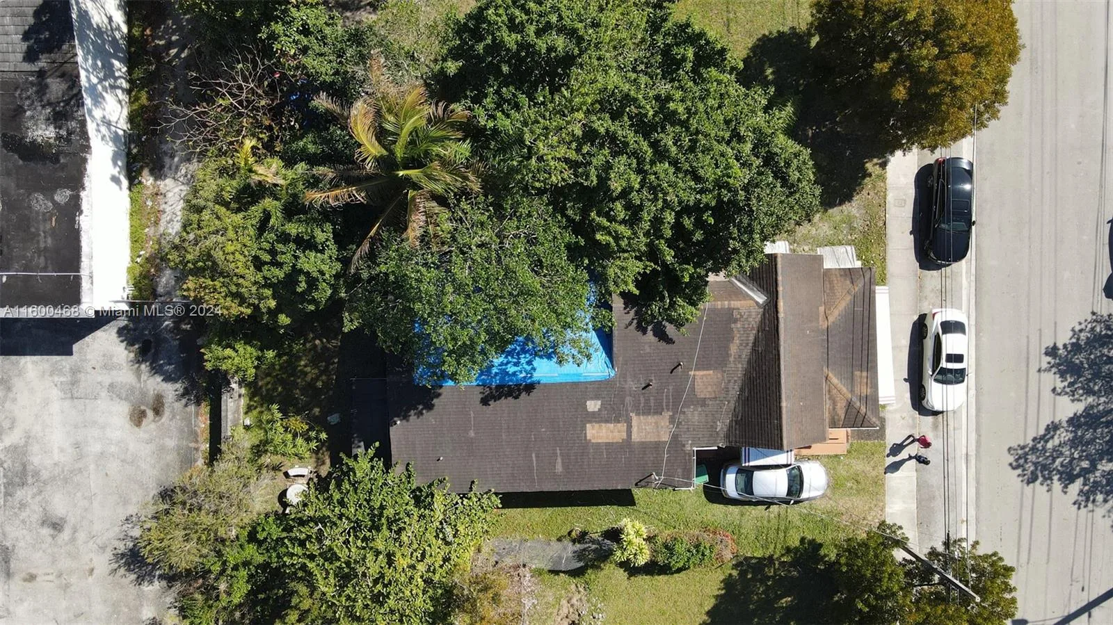 3373 Thomas Ave, Miami, FL 33133 photo 4