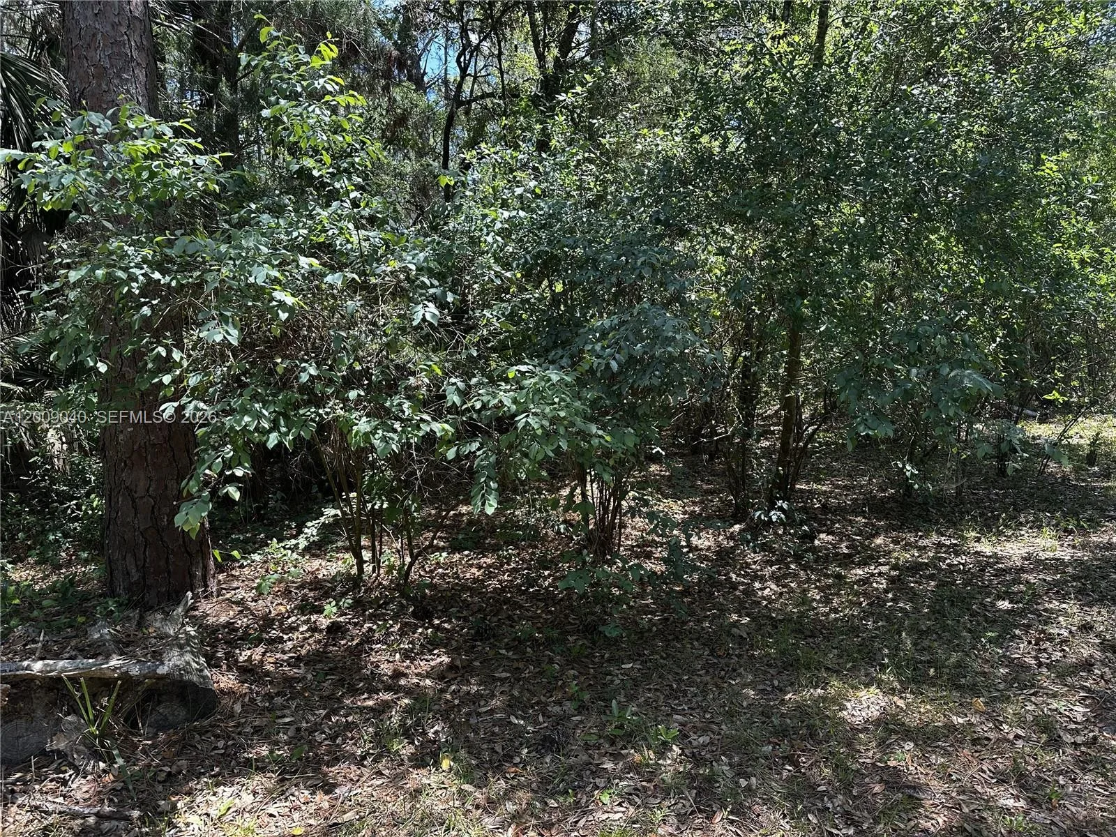 7294 W Vineyard Drive, Other City - In The State Of Florida, FL 34448 photo 11