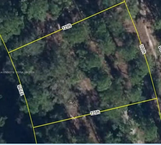 6203 BANYAN RD, Sebring, FL 33875 photo 5