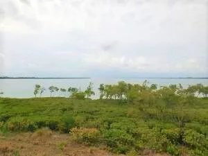 27 HARBOUR ISLE Drive W # 305, Fort Pierce, FL 34949