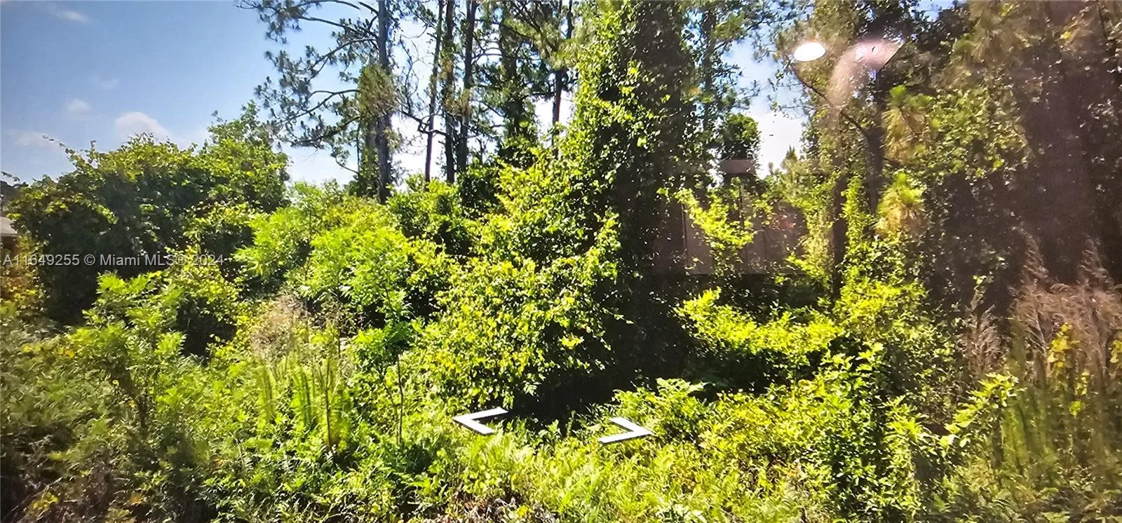 5701 EML, Sebring, FL 33875
