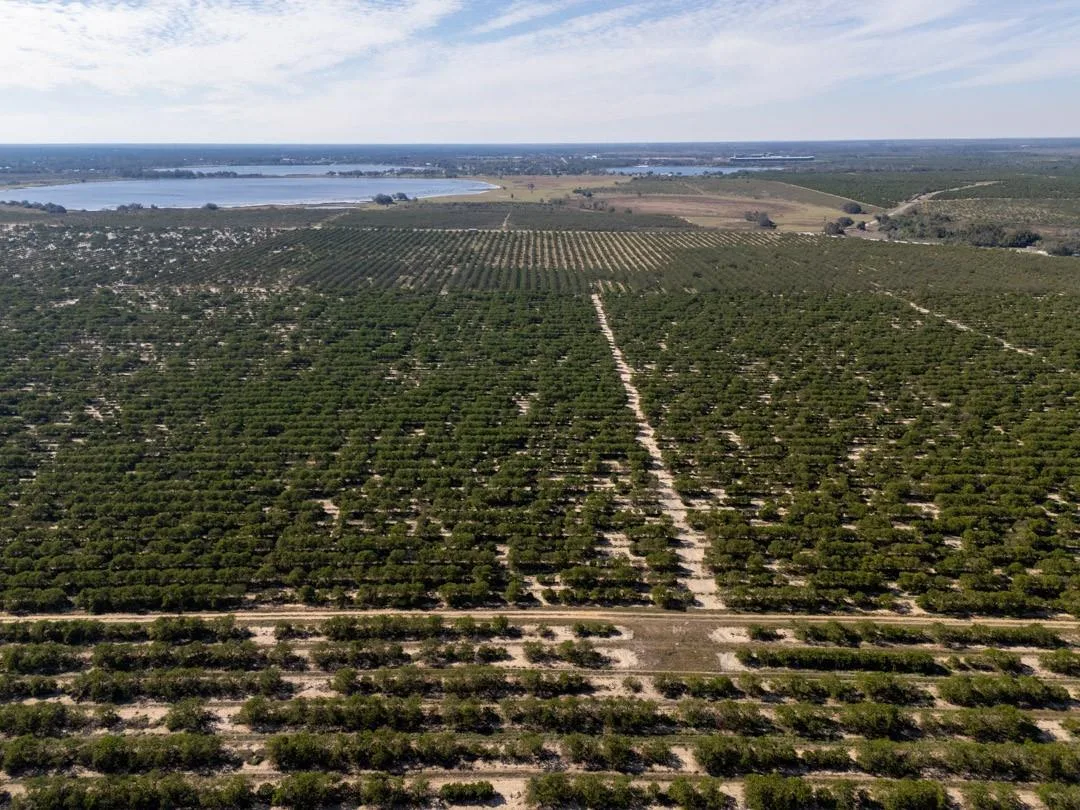 3073 CR 627, FL 33825 photo 11