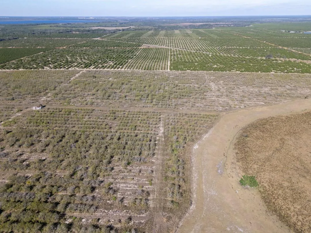 3073 CR 627, FL 33825 photo 5