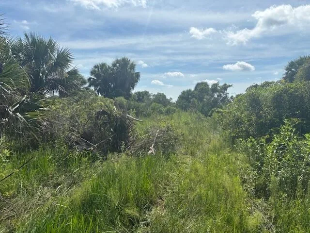 0 NW 312th Street, Okeechobee, FL 34972