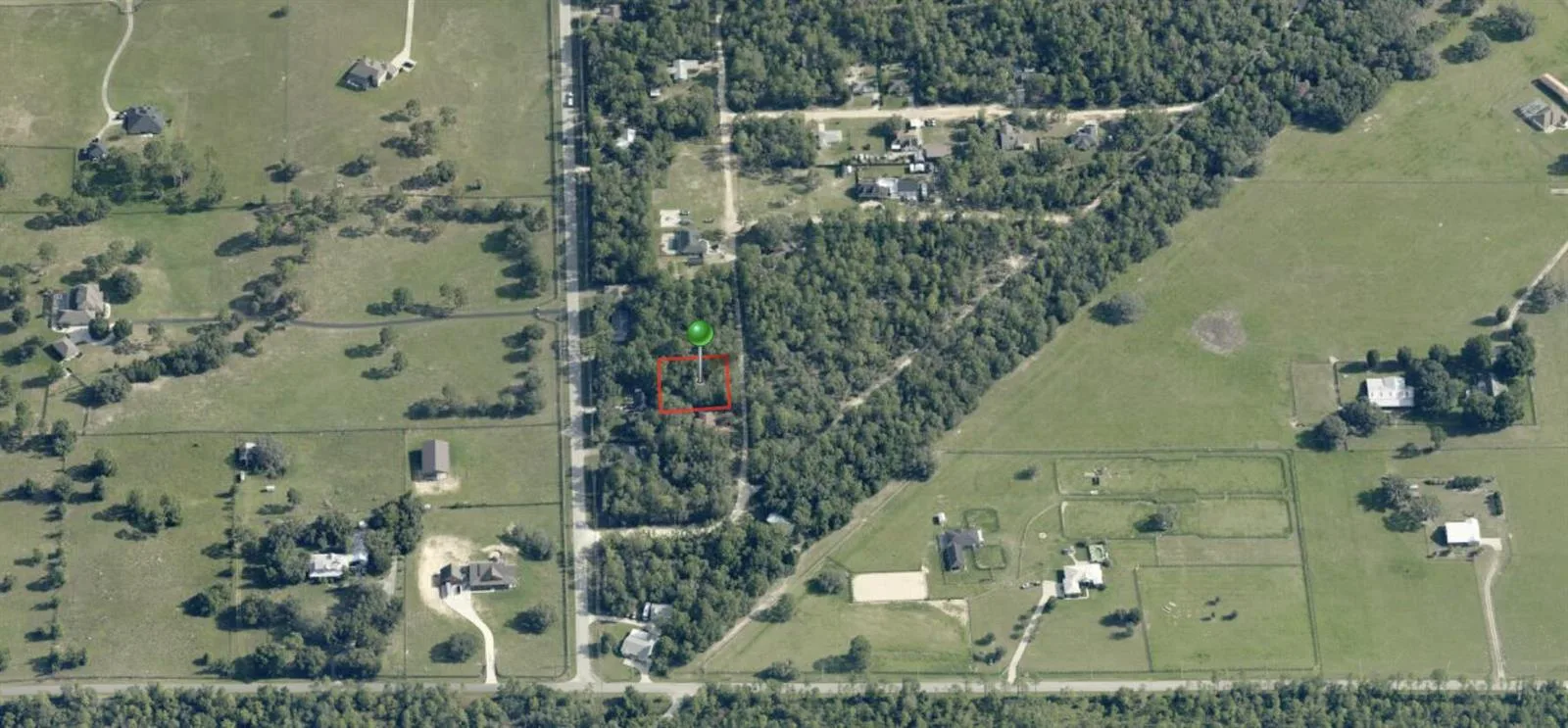 314 Smallwood Avenue, Inverness, FL 34452 photo 3
