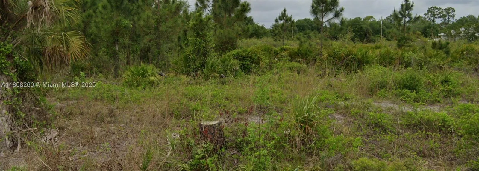 No Address #5, Lehigh Acres, FL 33972 photo 2