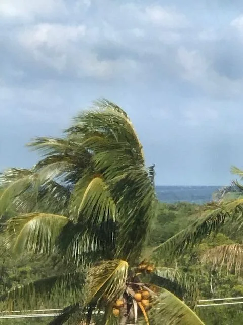 275 Palm Avenue # C503, Jupiter, FL 33477
