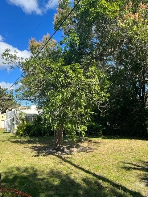 821 NE 120th St, Biscayne Park, FL 33161 photo 3