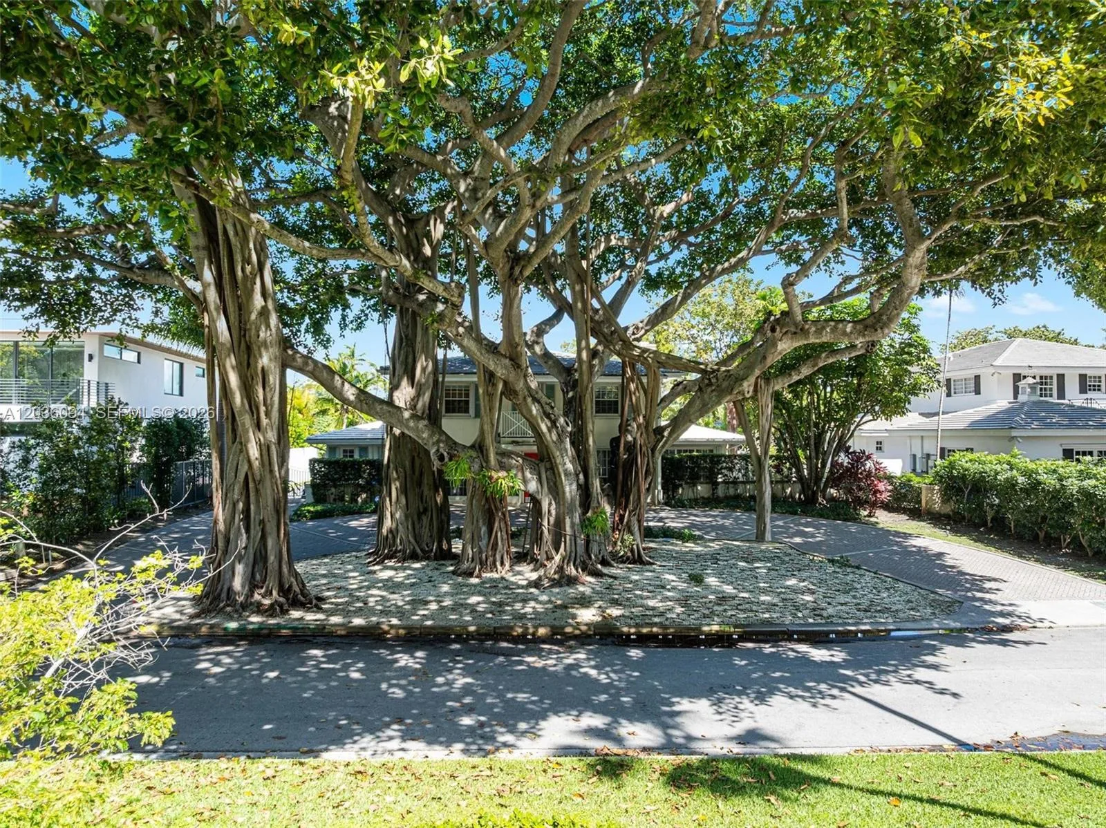655 Buttonwood Ln, Miami, FL 33137 photo 5