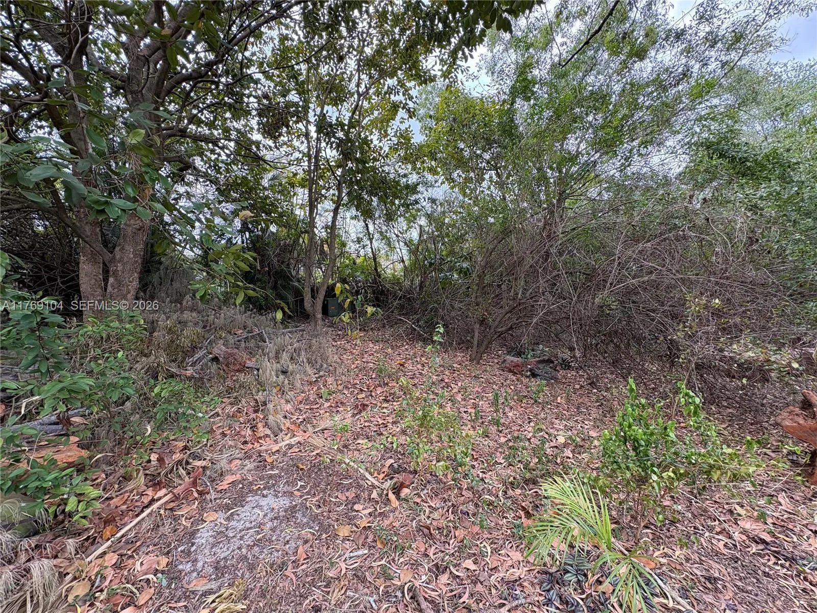 30xx Forest Hills Dr, Coral Springs, FL 33065 photo 10