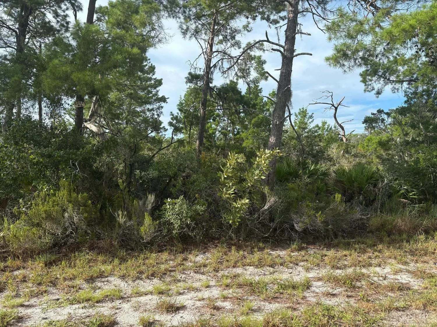 635 Boylston Street, Lake Placid, FL 33852
