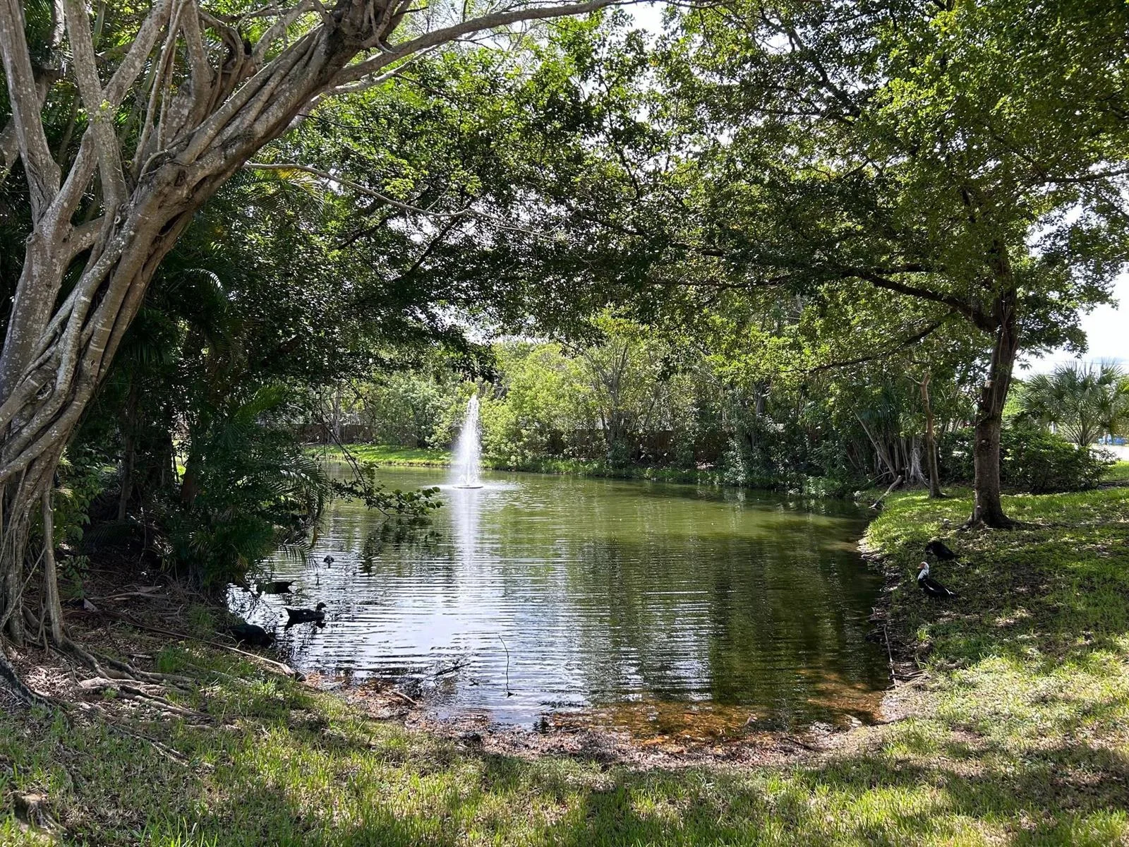 9999 Summerbreeze Drive # 105, Sunrise, FL 33322