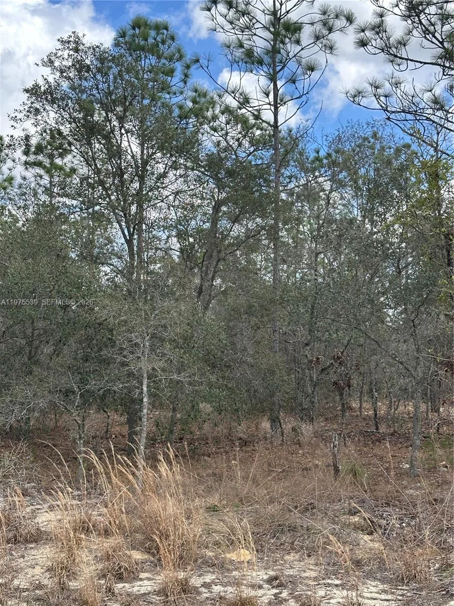Listing photo 7