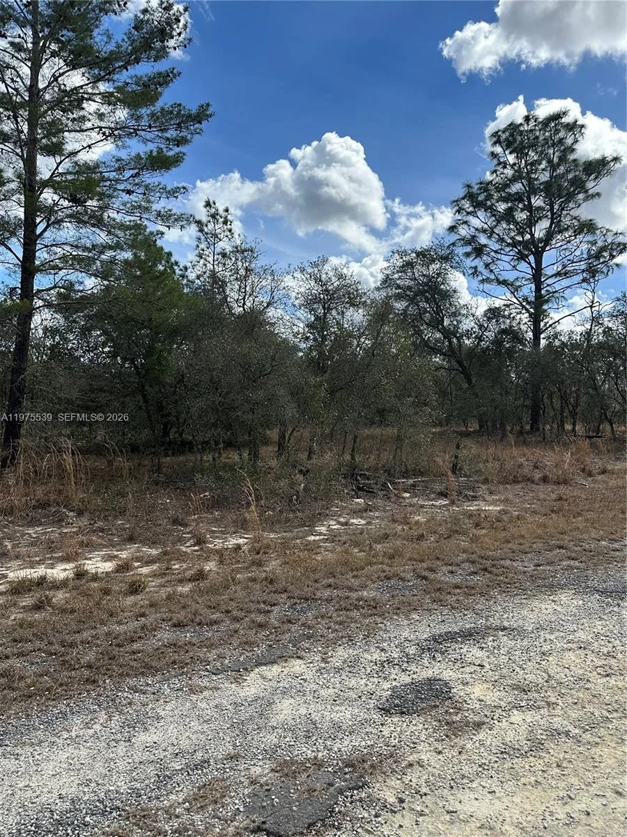 Listing photo 8