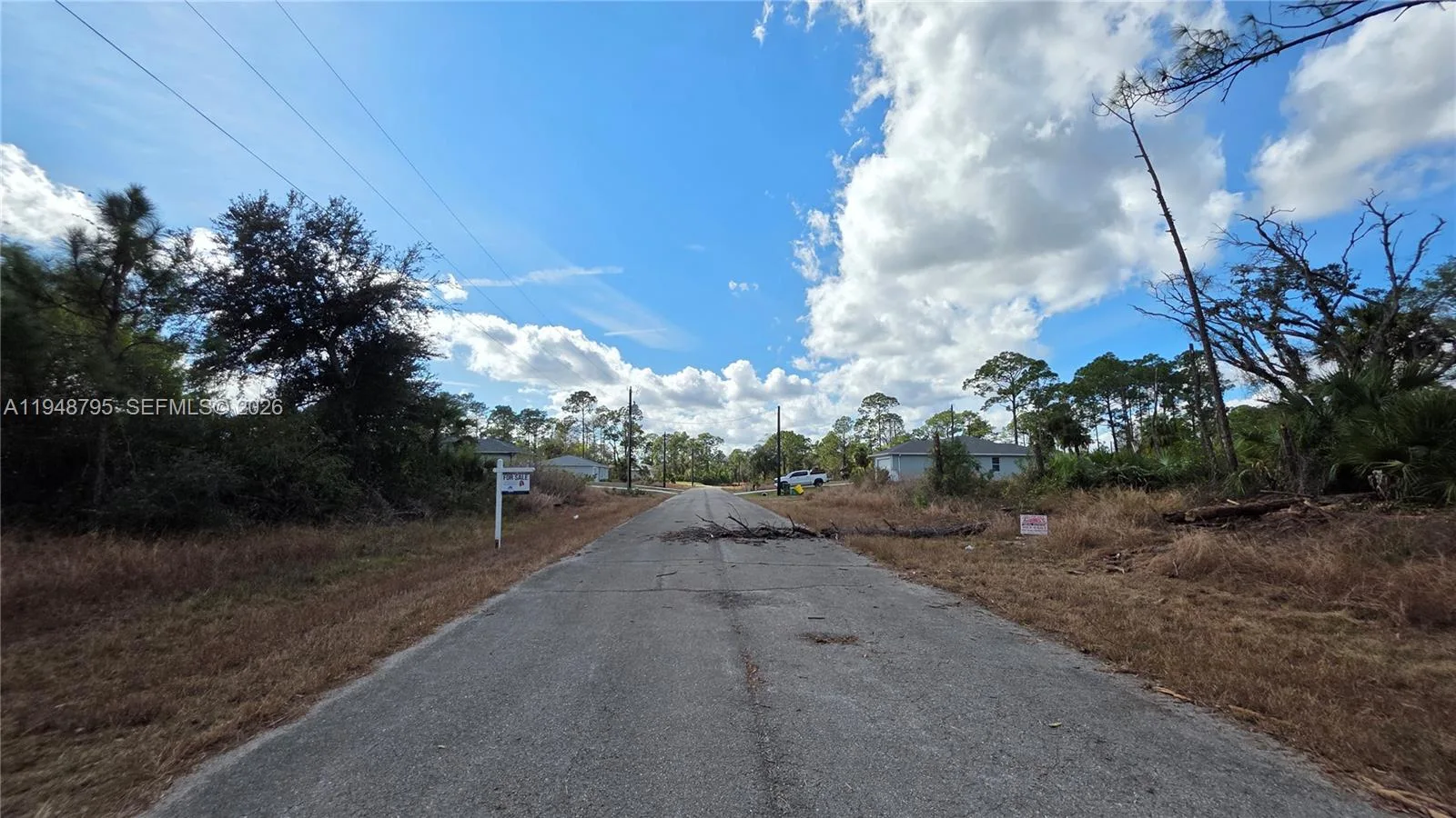 315 Ivanhoe Ave, La Belle, FL 33935 photo 10