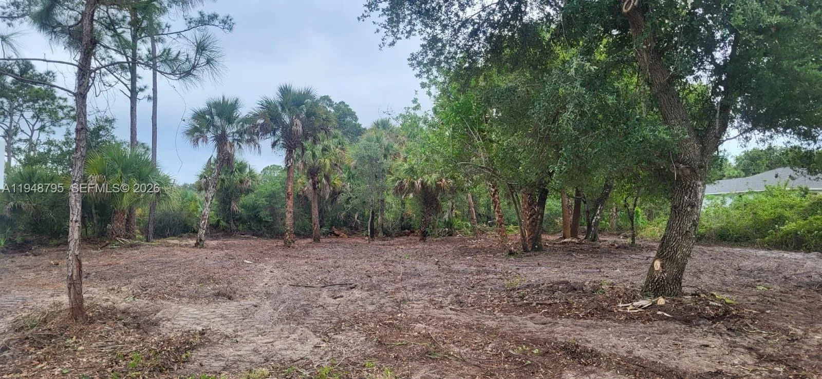 315 Ivanhoe Ave, La Belle, FL 33935 photo 3