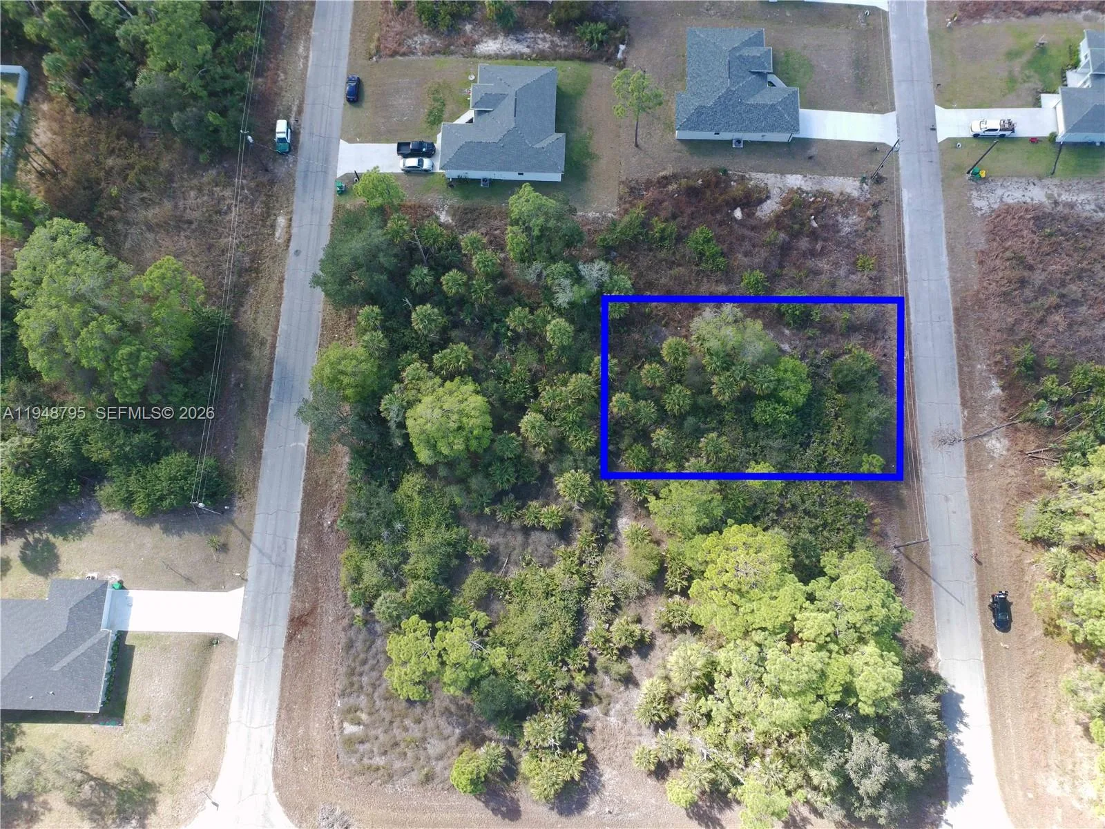 315 Ivanhoe Ave, La Belle, FL 33935 photo 7