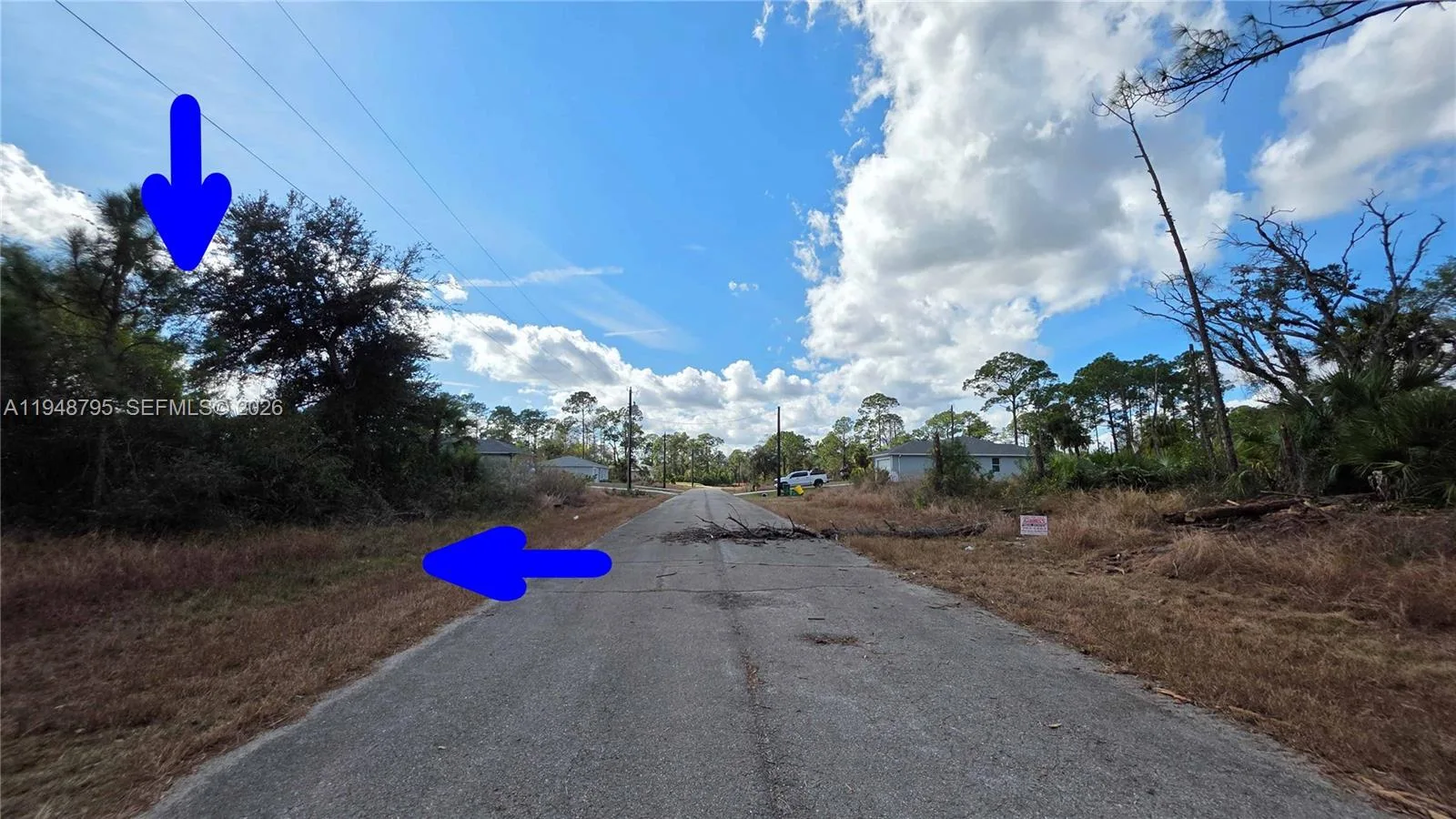 315 Ivanhoe Ave, La Belle, FL 33935 photo 8