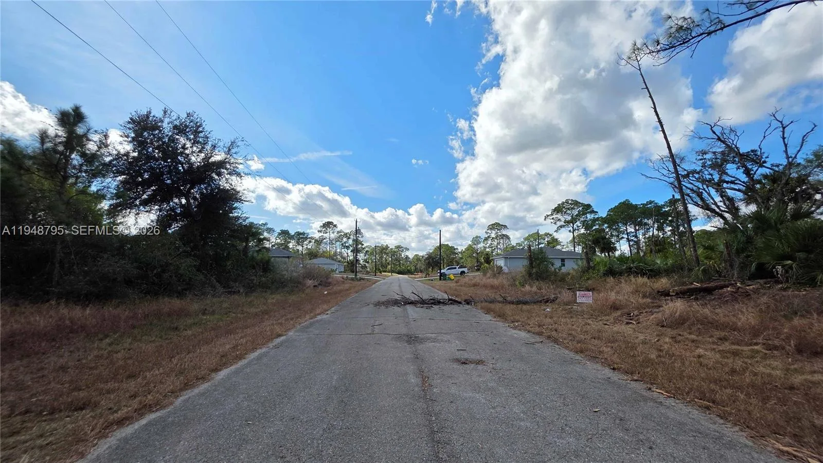 315 Ivanhoe Ave, La Belle, FL 33935 photo 9
