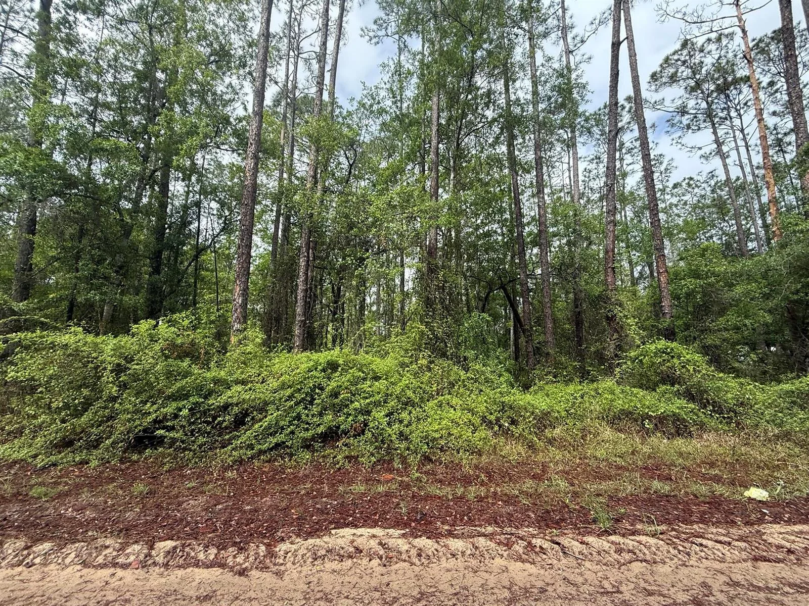 Tbd Seminole Avenue, FL 32148