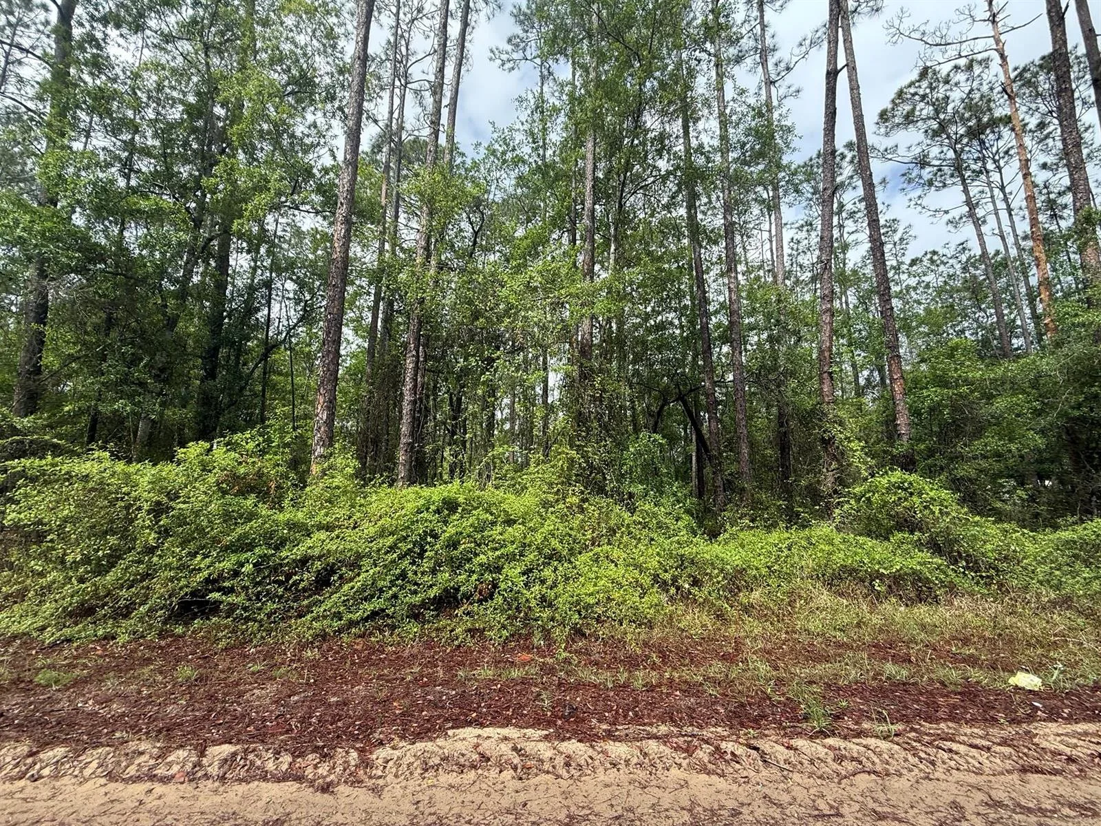 Tbd Seminole Avenue, FL 32148 photo 2