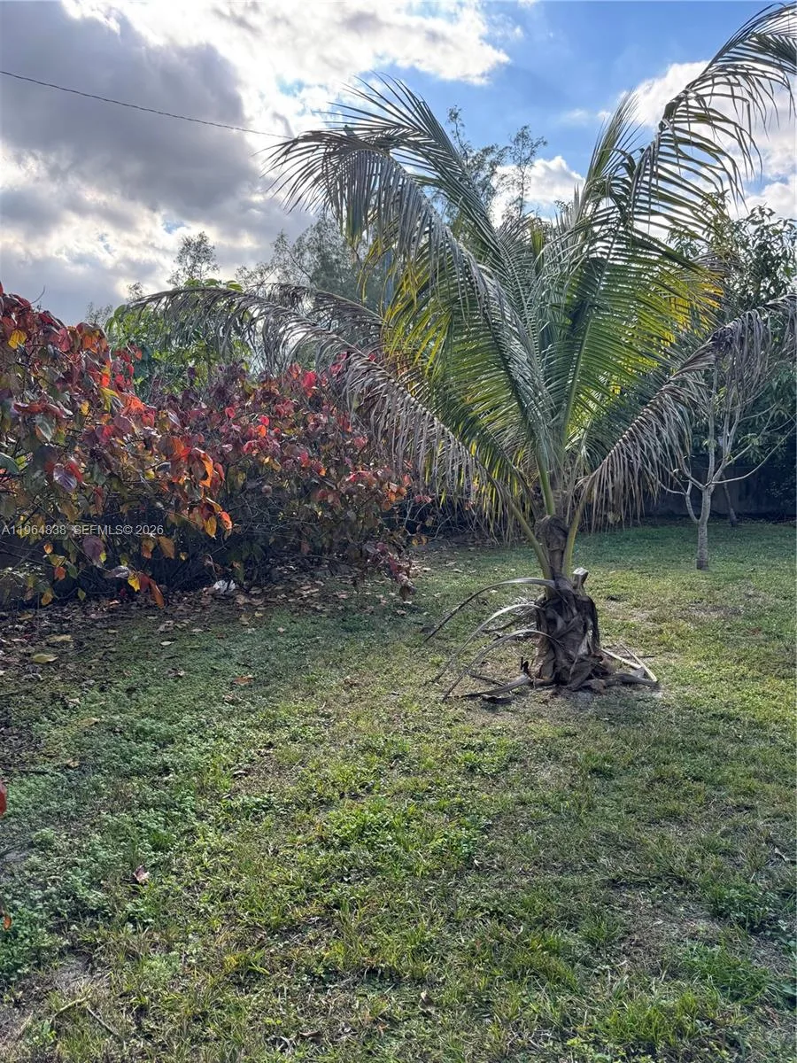36 NW 151st St, Miami, FL 33169 photo 10
