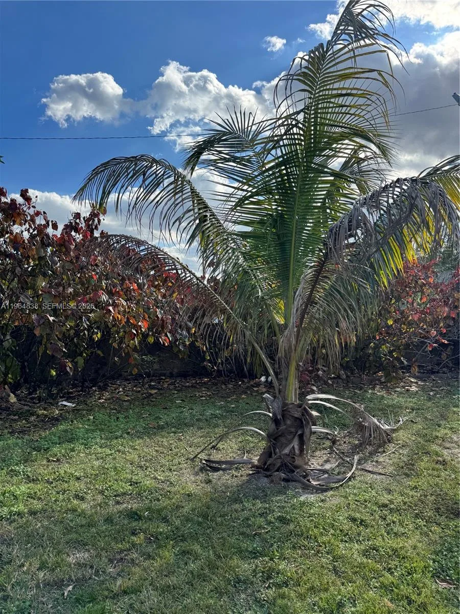 36 NW 151st St, Miami, FL 33169 photo 9