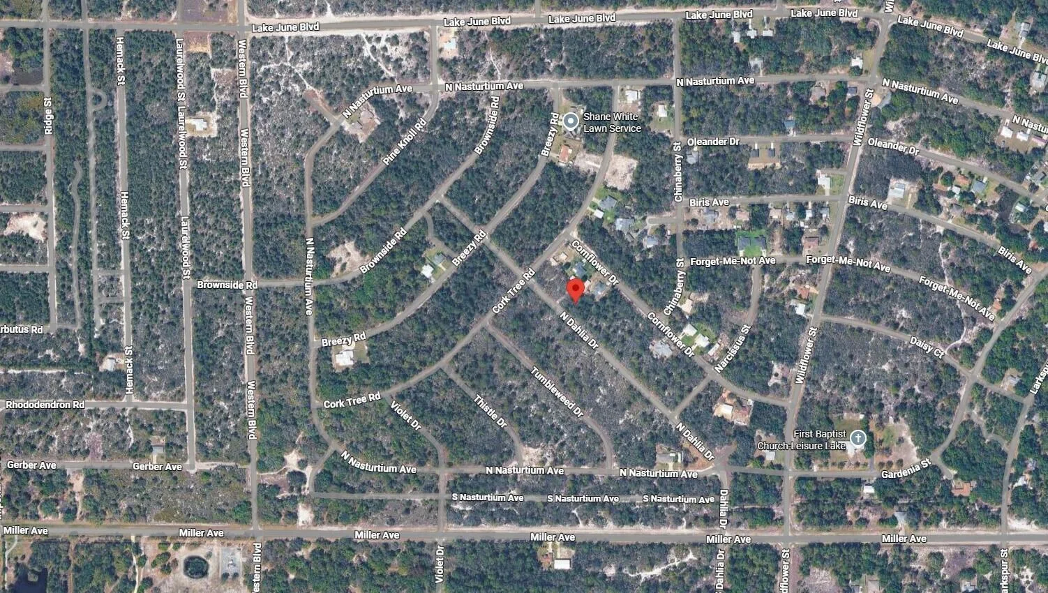 3235 N Dahlia Drive, Lake Placid, FL 33852 photo 3