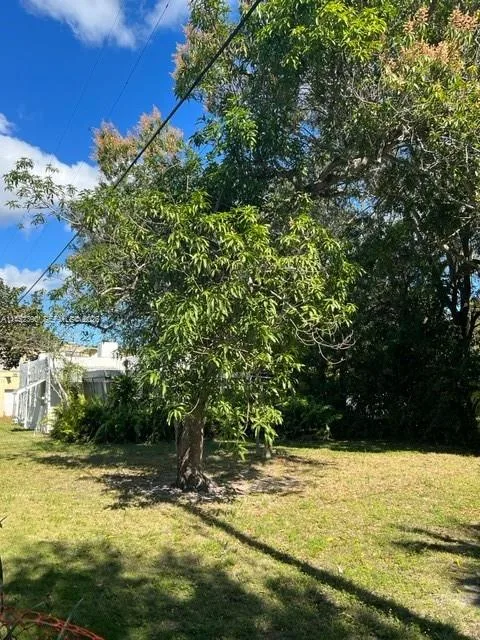 821 NE 120th St, Biscayne Park, FL 33161