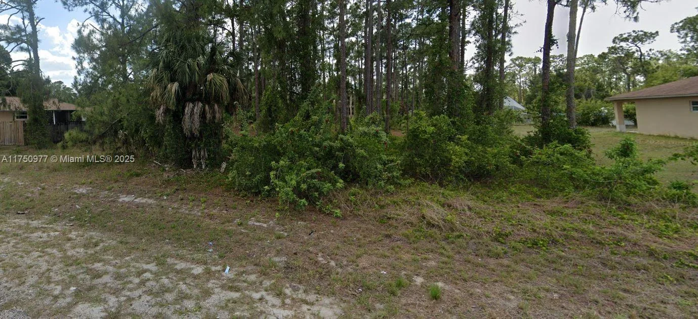 303 McArthur Ave, Lehigh Acres, FL 33936 photo 3
