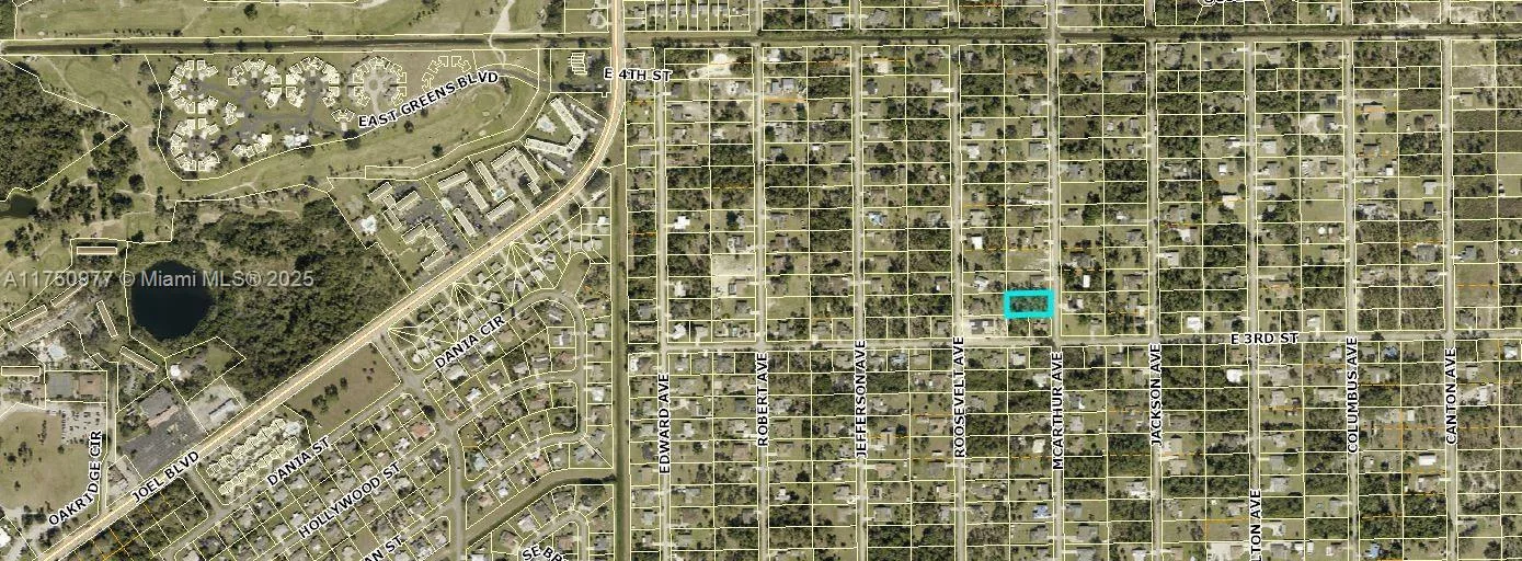 303 McArthur Ave, Lehigh Acres, FL 33936 photo 4