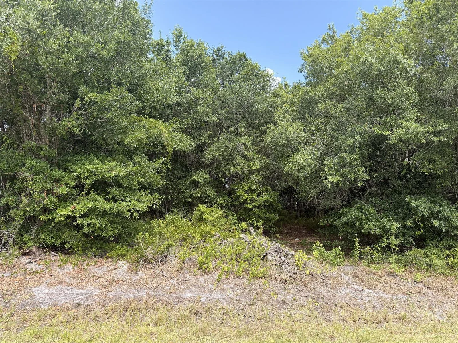 2646 NW 53rd Terrace, Okeechobee, FL 34972