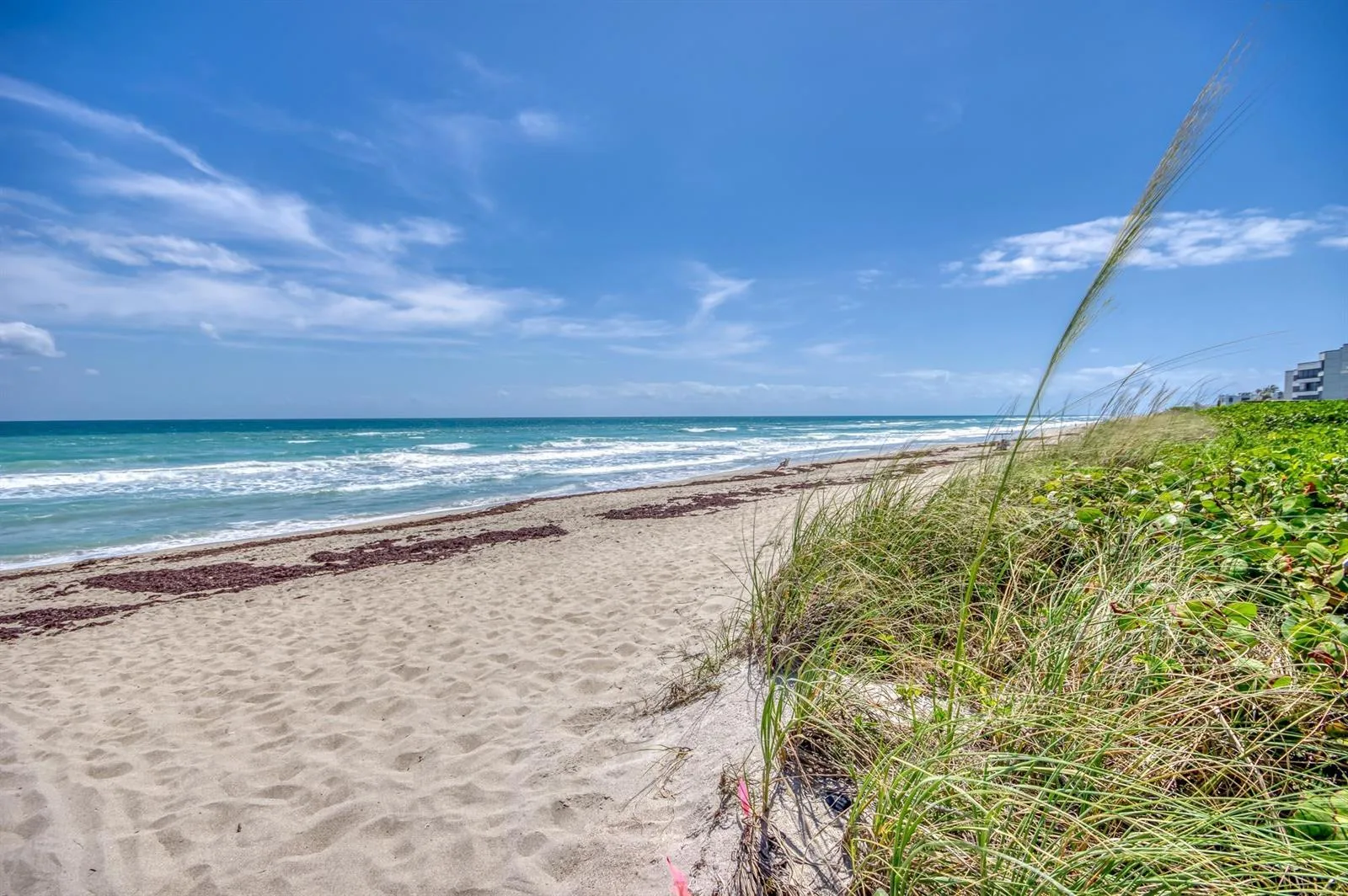 1501 NE Ocean Boulevard # 8, Stuart, FL 34996 photo 2