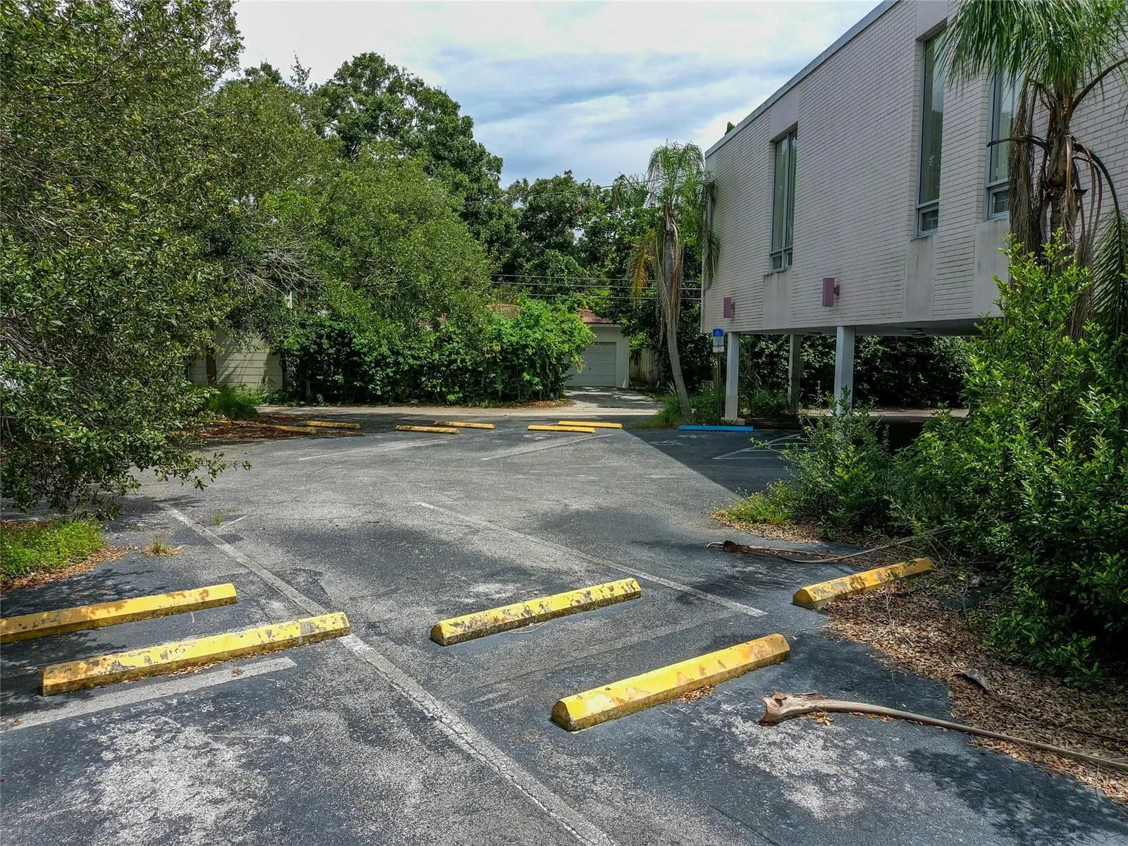 1213 N 16th Street, FL 33705 photo 3