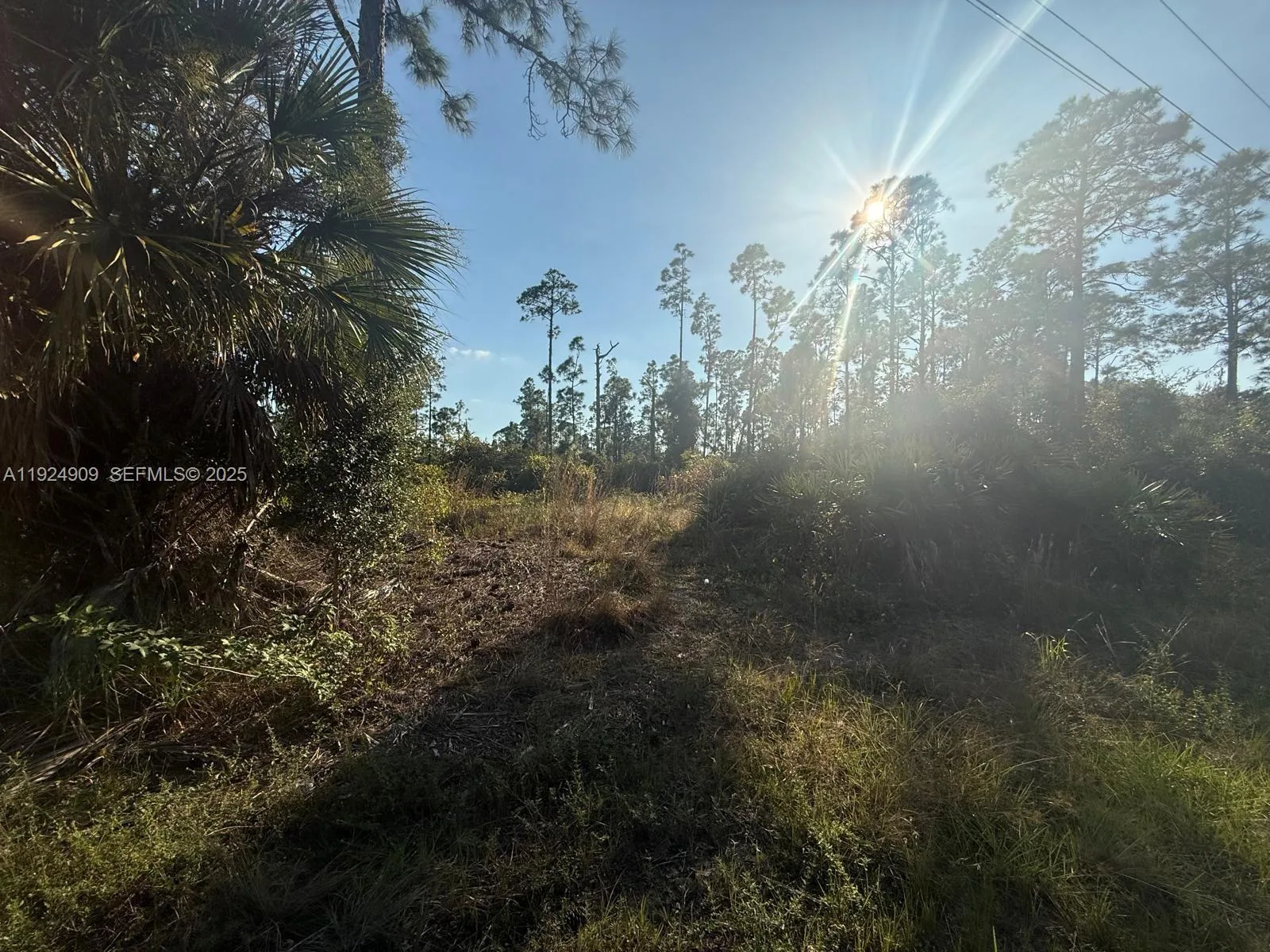 1088/1090 Ainsworth ST E, Lehigh Acres, FL 33974 photo 2