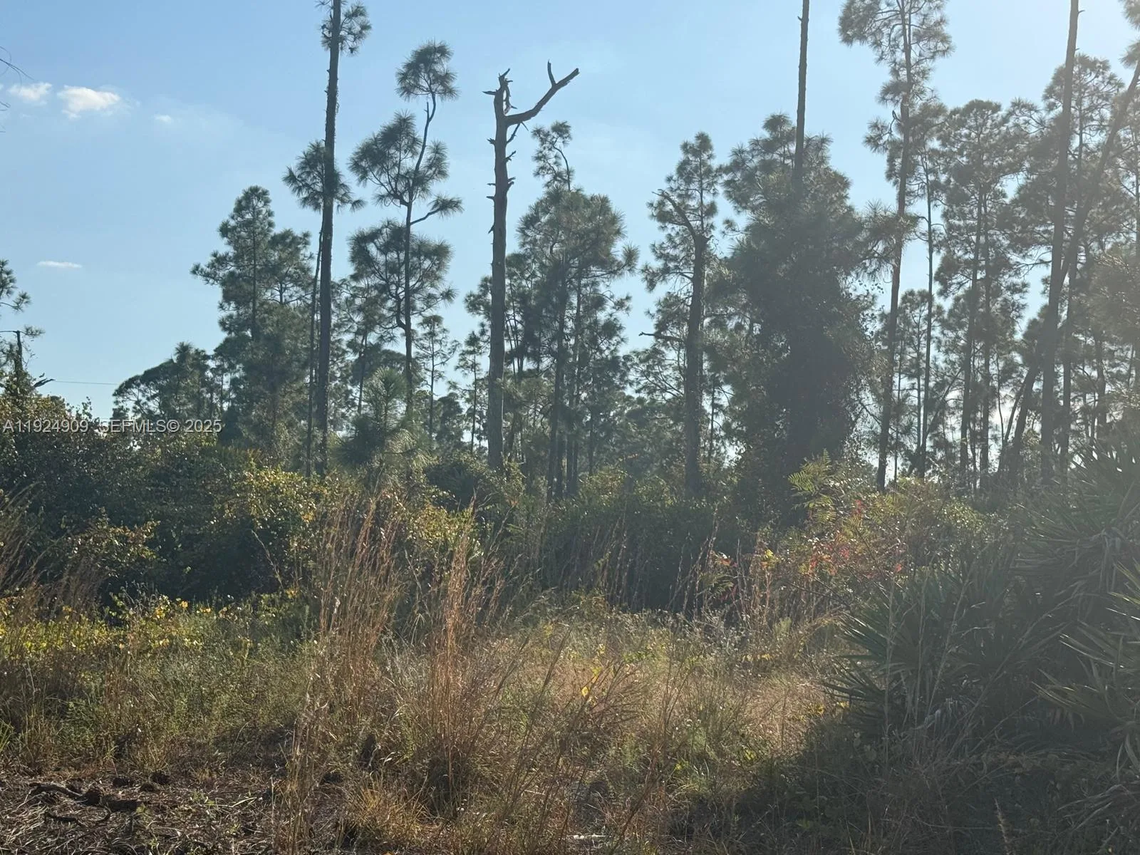 1088/1090 Ainsworth ST E, Lehigh Acres, FL 33974 photo 3