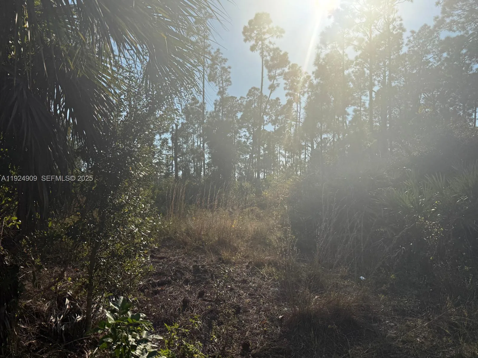 1088/1090 Ainsworth ST E, Lehigh Acres, FL 33974 photo 4